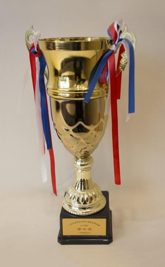 2016年6月本所获市律协第六届篮球锦标赛女子篮球第三名